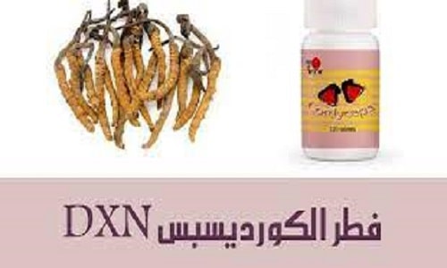 الكورديسبس من dxn