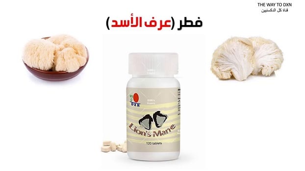 عرف الاسد dxn