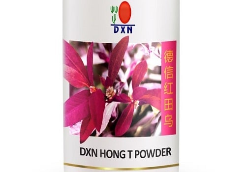 هونغ تي من DXN