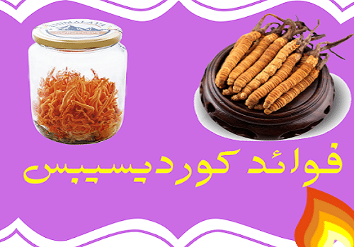 فوائد الكورديسبس DXN