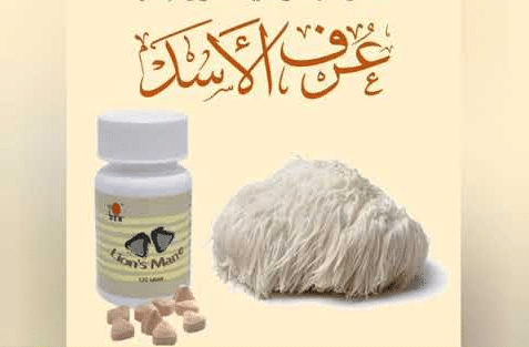 فوائد عرف الأسد للقولون