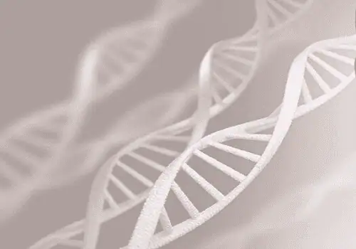 كولاجين dxn
