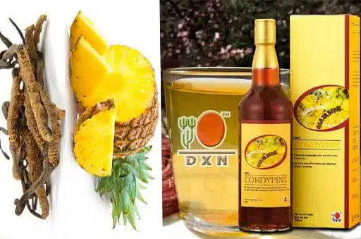 كوردي باين DXN