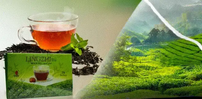 شاي دكسن