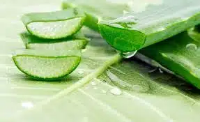 فوائد جمالية وصحية لا تعرفها عن عصير الصبار DXN (الوفيتا Aloe Vita ) 1