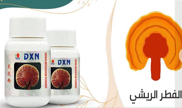 الفطر الريشي من DXN