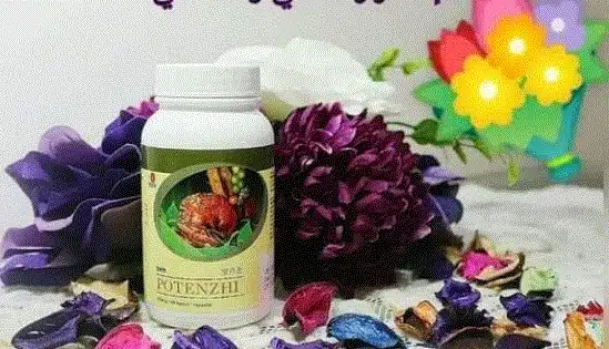 منتج بوتنزي DXN