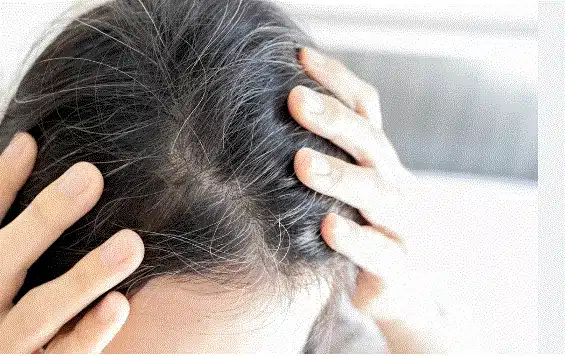 منتجات dxn للشيب