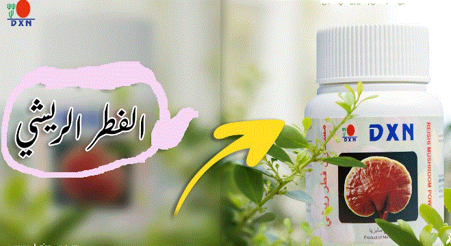 طريقة استخدام الفطر الريشي dxn