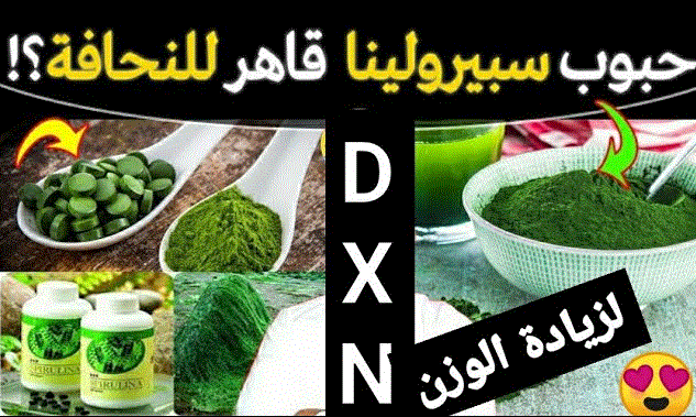 سبيرولينا dxn لزيادة الوزن