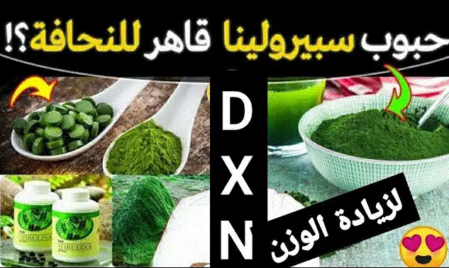 سبيرولينا dxn لزيادة الوزن