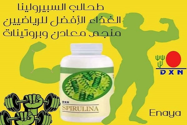 أفضل بروتين لبناء العضلات طبيعي