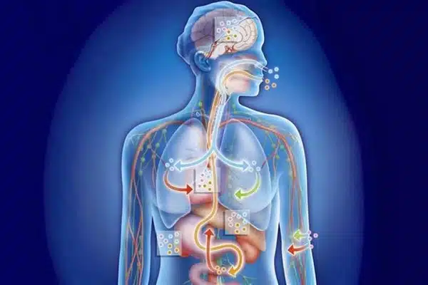 اعراض تراكم السموم في الجسم