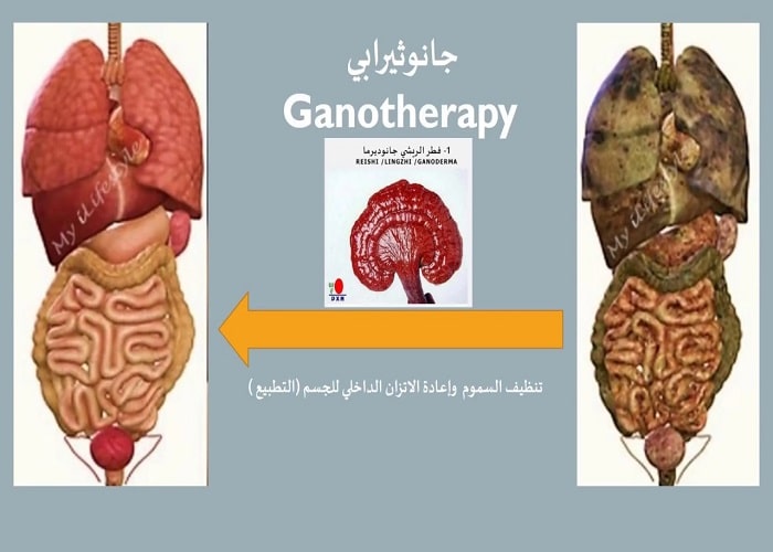 أقوى 3 أغذية طبيعية تخلص جسمك من السموم ! 1