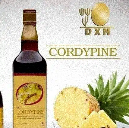 الكورديباين