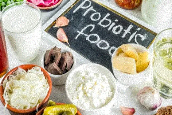 اين يوجد البروبيوتيك الطبيعي