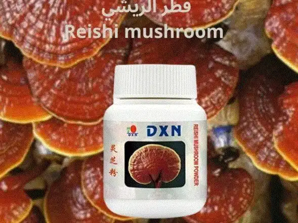 علاج الإدمان بالفطر الريشي