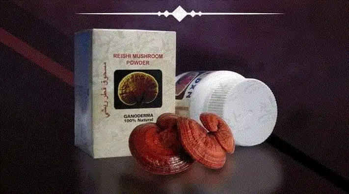 ماذا يحدث للجسم بعد تناول الفطر الريشي 