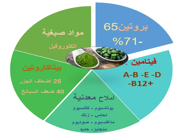 ما هي مكونات السبيرولينا