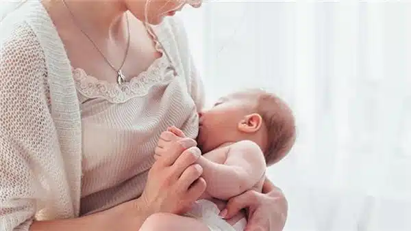 وجبات لزيادة ادرار الحليب
