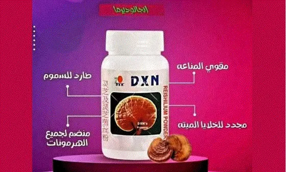 تجربتي مع الفطر الريشي