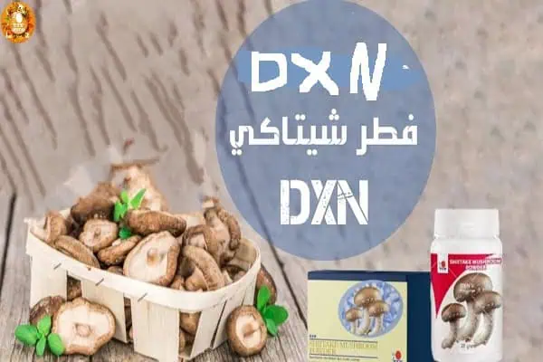 أين يباع فطر الشيتاكي