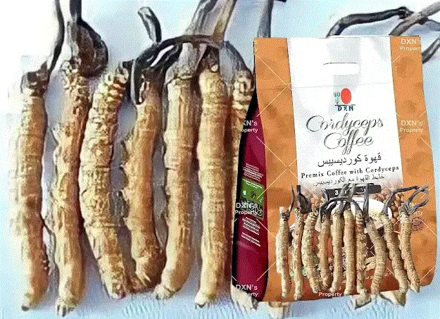 مشروبات ساخنة مفيدة للجنس