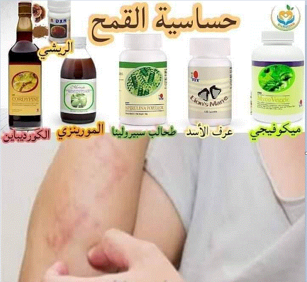 تخلص من حساسية القمح طبيعياً مع منتجات DXN 1