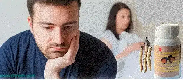 الكورديسبس للضعف الجنسي