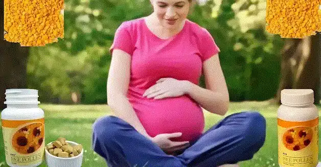 لقاح النحل للحمل
