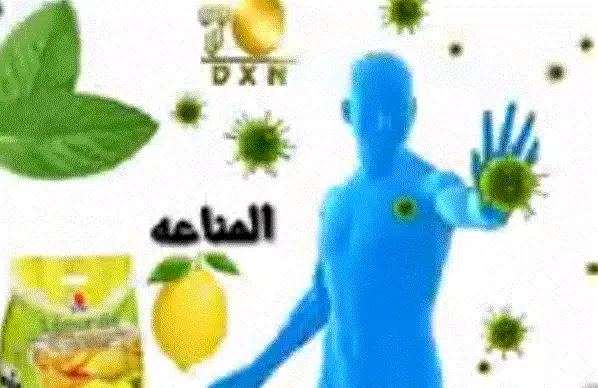 موهيتو ليمون ونعناع صحي