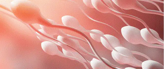 منتجات DXN لضعف الحيوانات المنوية