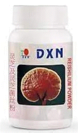 بودرة الفطر الريشي 22 جرام DXN