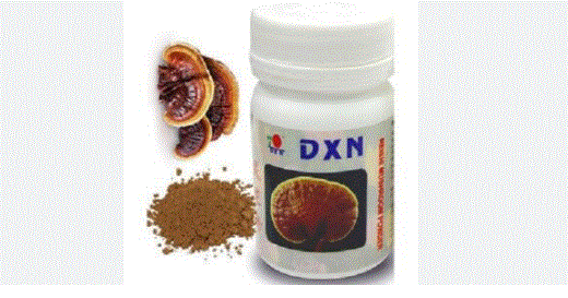 بودرة الفطر الريشي 22 جرام DXN