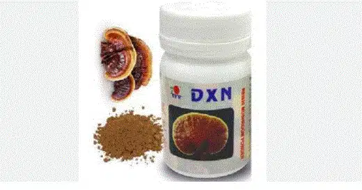 بودرة الفطر الريشي 22 جرام DXN