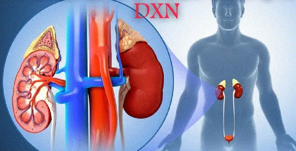 منتجات dxn لالتهاب الحويضة والكلية