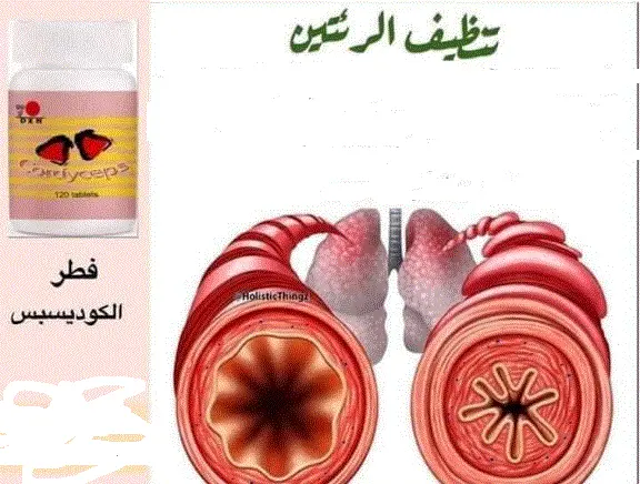 تنظيف الرئتين بمنتجات DXN (الحل الأمثل للتخلص من البلغم!) 1