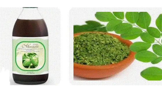 الفرق بين المورينزي والمورينجا 