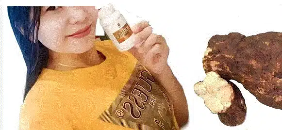 فطر بوريا اس DXN للتخلص من الارق